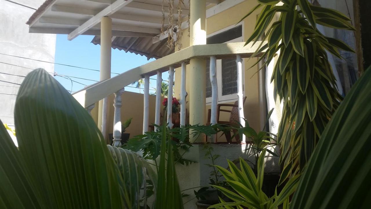 Turtle Reef Guest Acomodação com café da manhã Mirissa Exterior foto