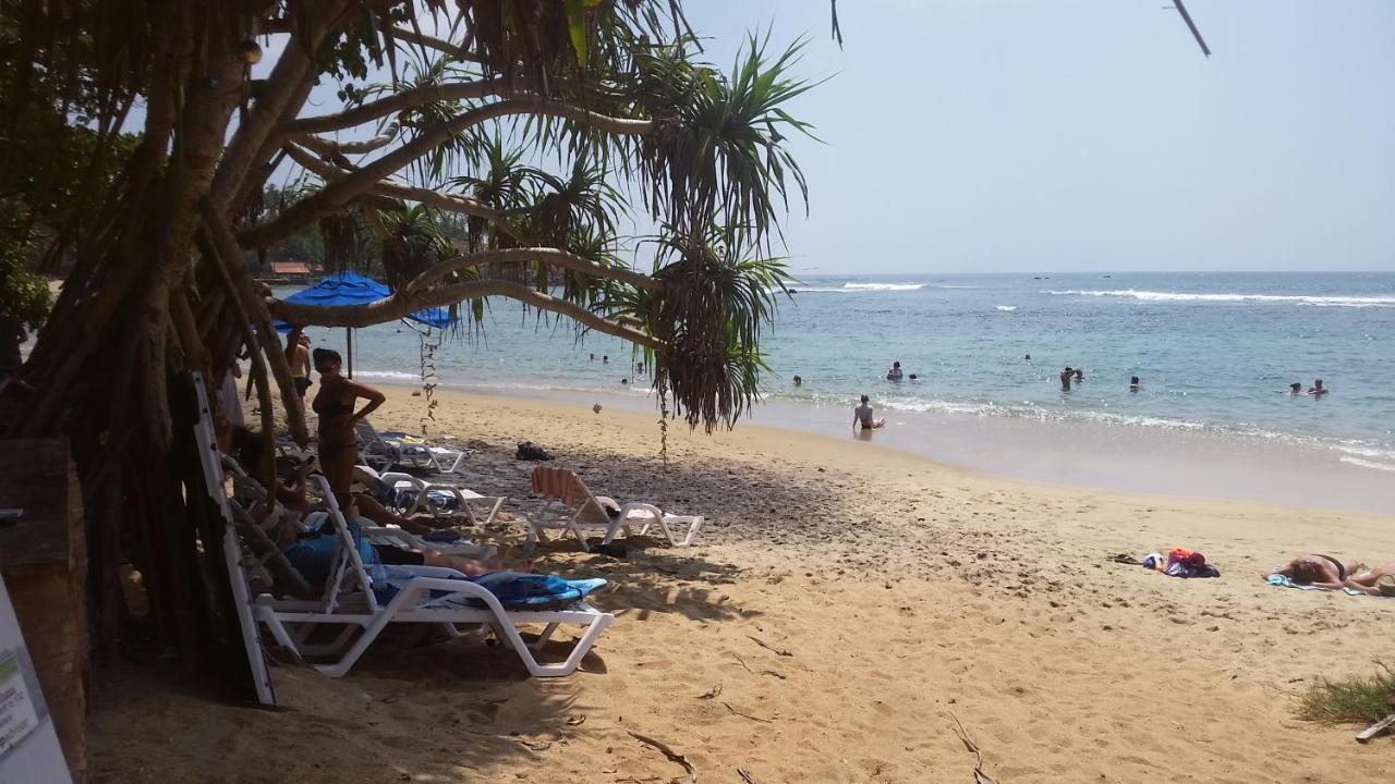 Turtle Reef Guest Acomodação com café da manhã Mirissa Exterior foto